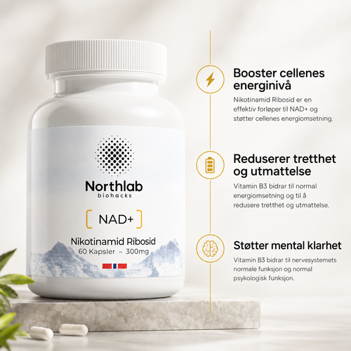 Nikotinamid Ribosid – forløper til NAD⁺