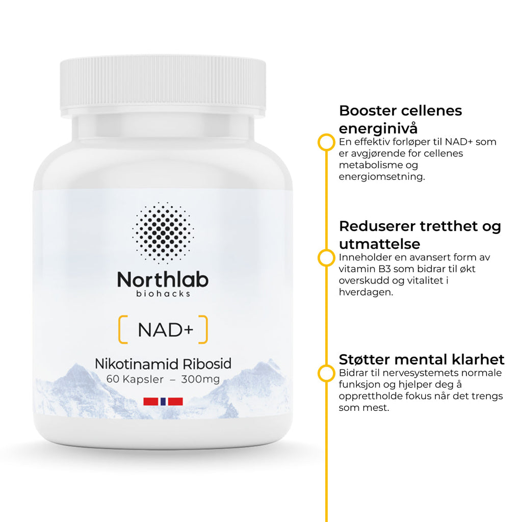 Nikotinamid Ribosid – forløper til NAD⁺