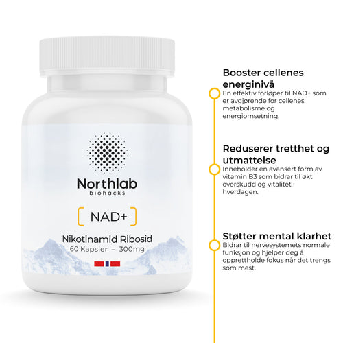 Nikotinamid Ribosid – forløper til NAD⁺
